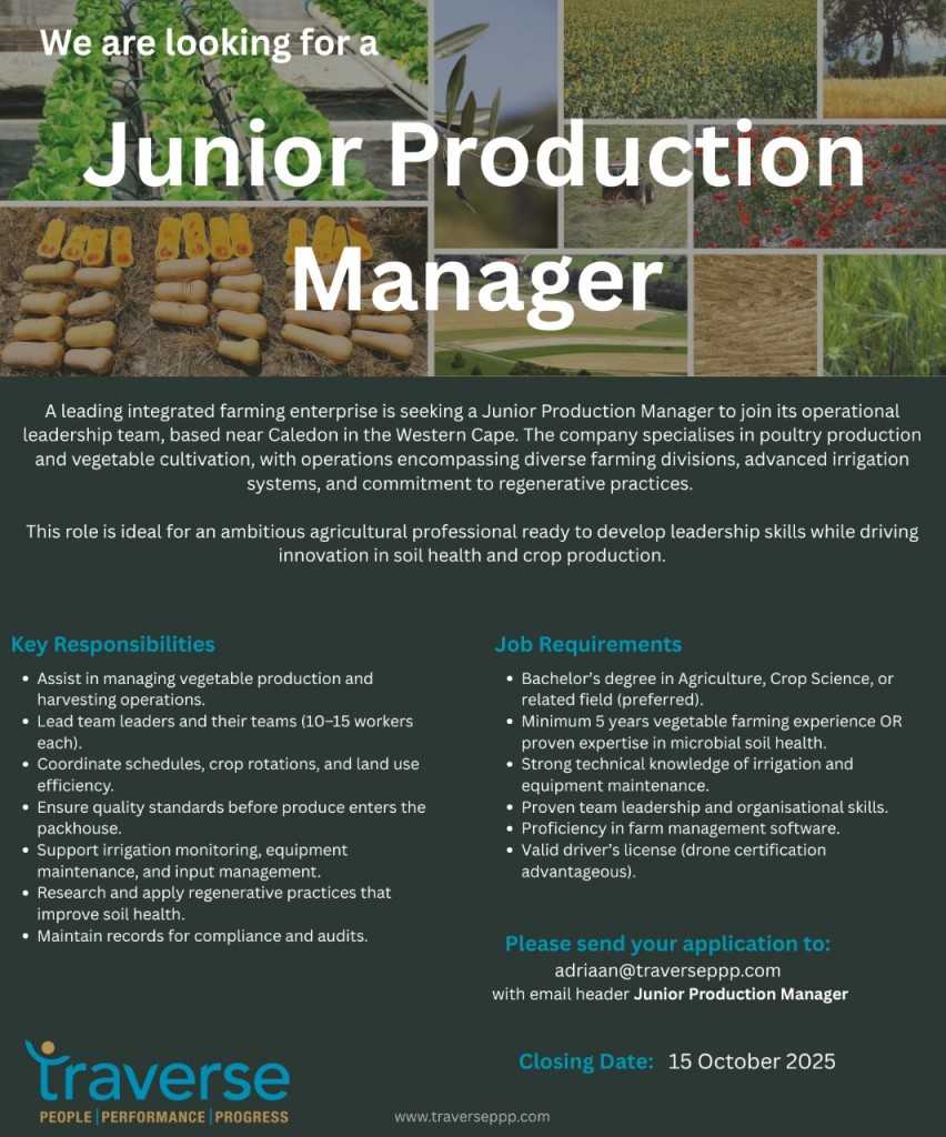 WhatsApp Image 2025-09-19 at 16.56.05_aa9d238c